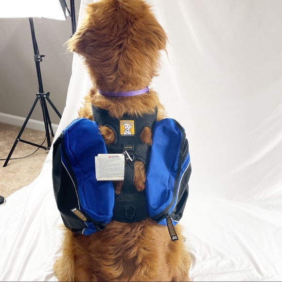 RuffWear Other - NWT Ruff Wear approach Packll medium